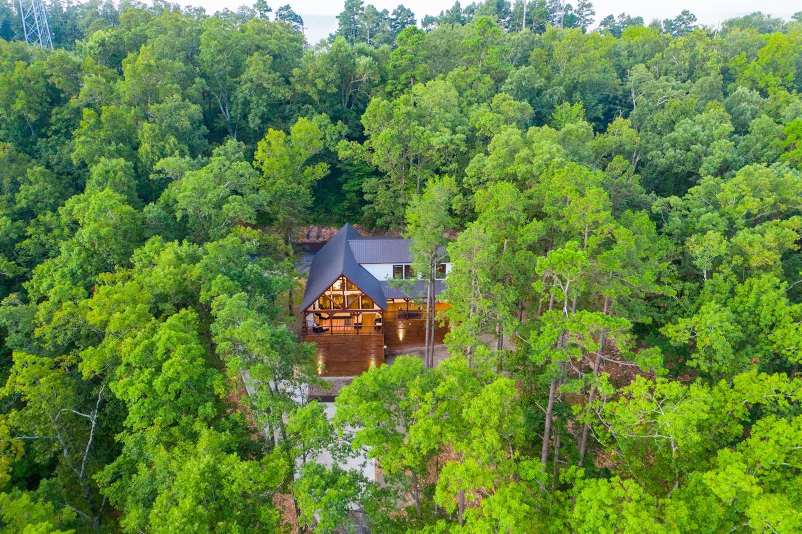The cabin in the treetops, seen from above.